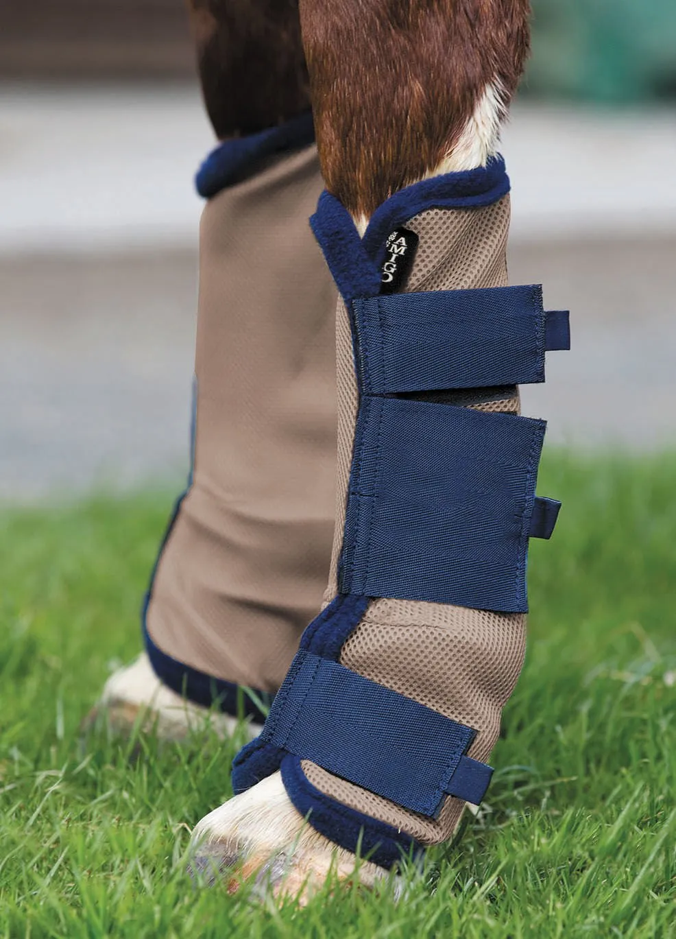 Amigo Fly Boots, Bronze/Navy