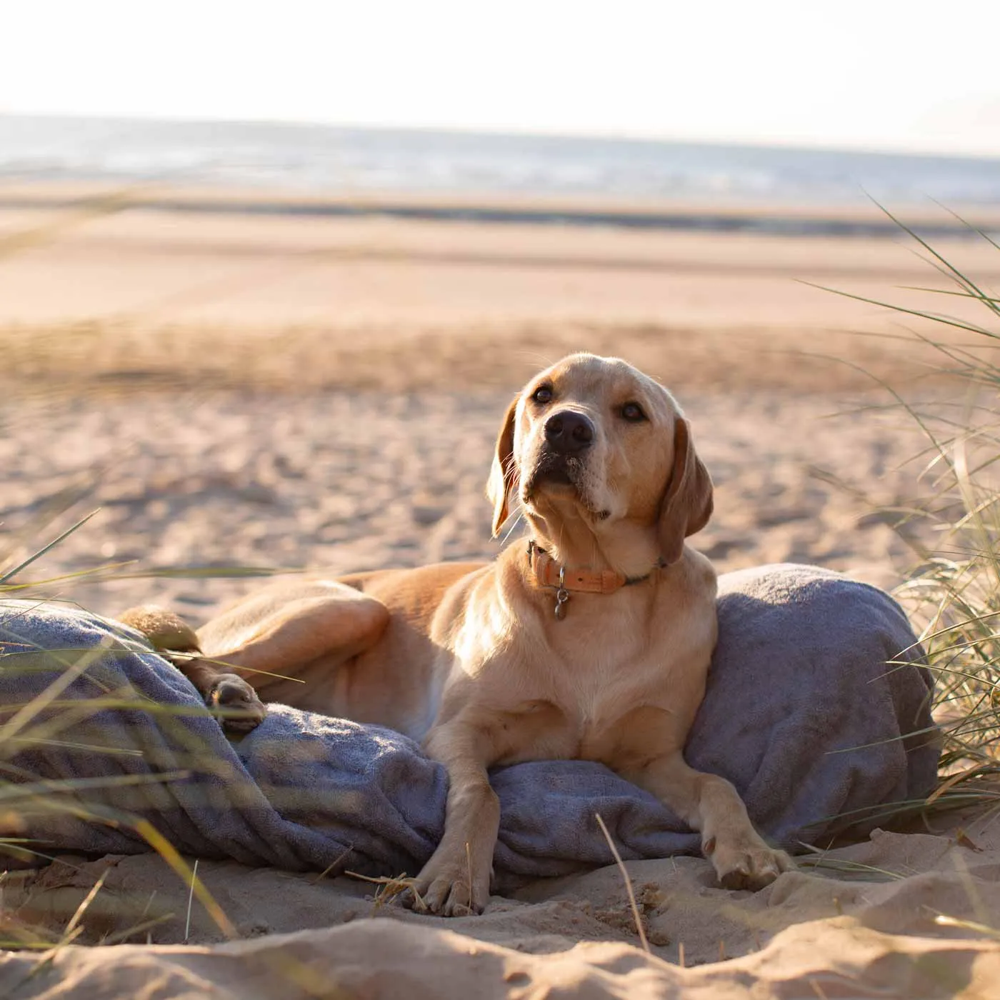 Bamboo Drying Cushion Cover in Gun Metal by Lords & Labradors