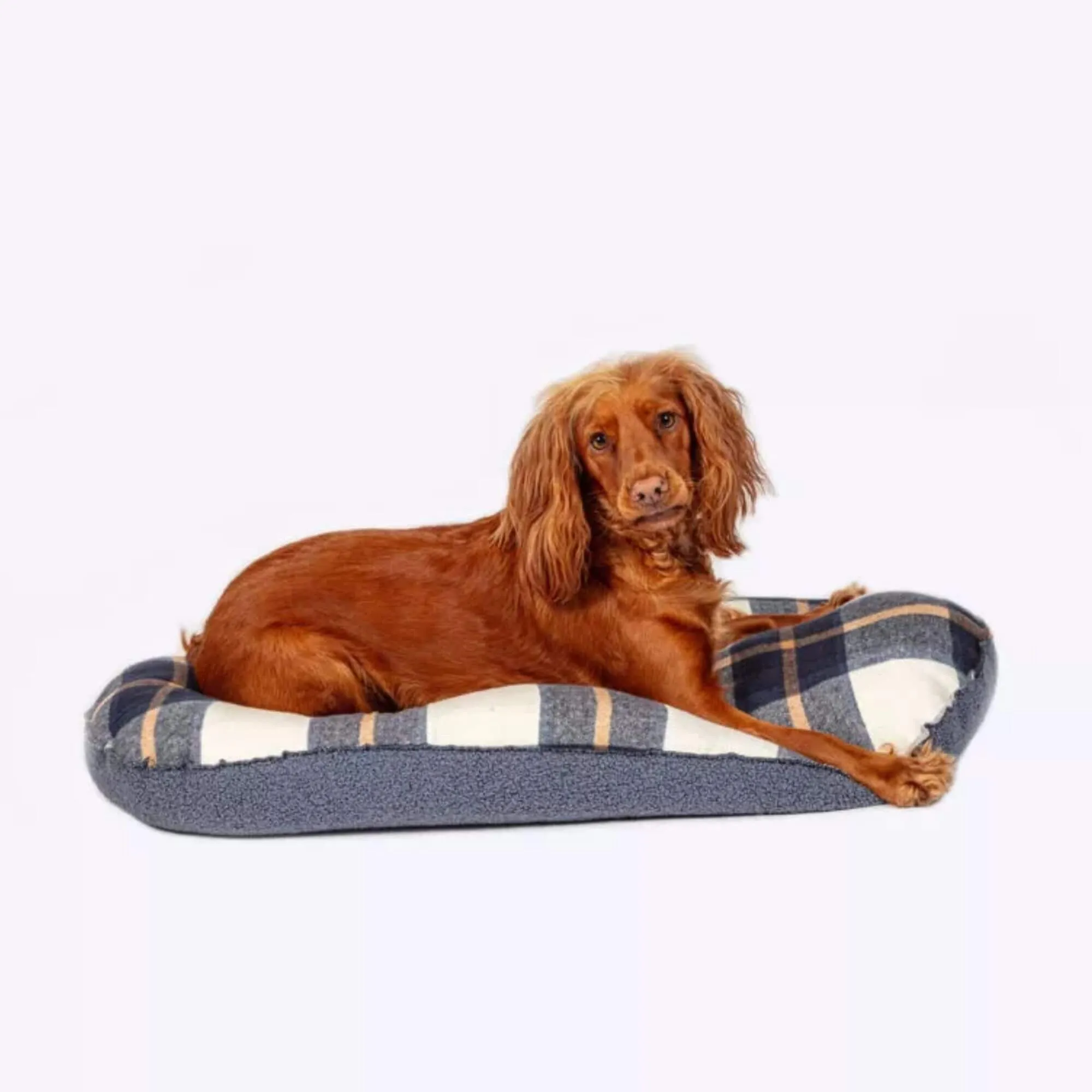 Danish Design Bowmore Quilted Mattress Dog Bed