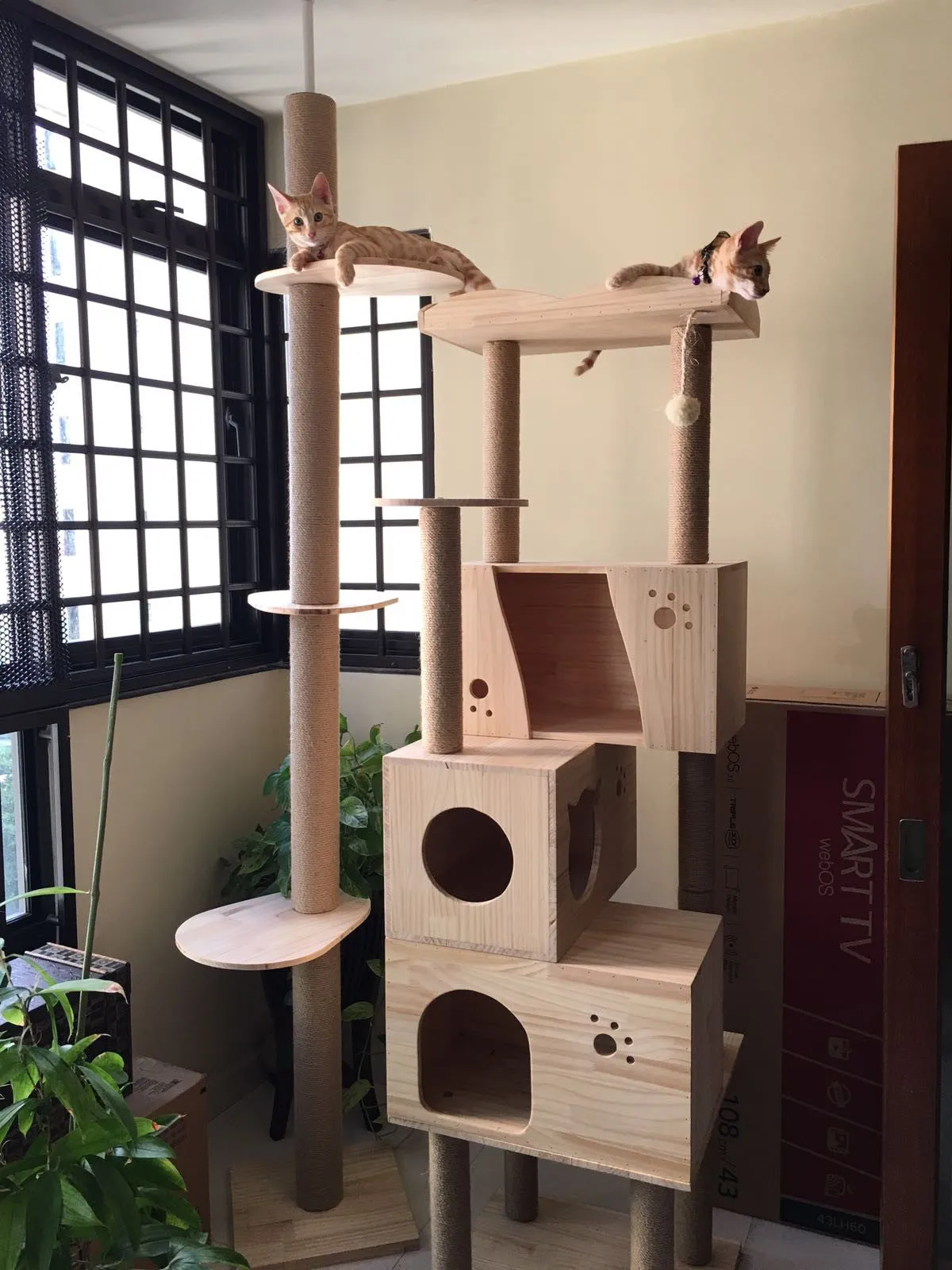 Deluxe Cat House 1.8m Wooden Cat Furniture w/ Triple Houses