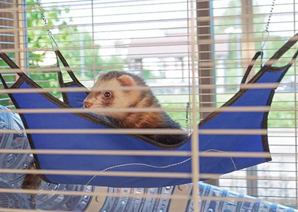 FURET TOWER