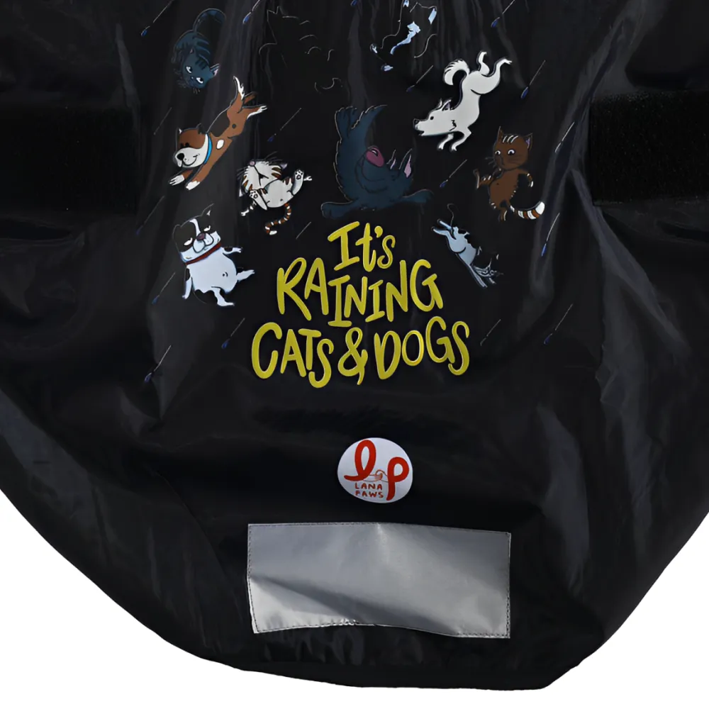 Lana Paws Its Raining Cats & Dogs Printed Raincoat for Dogs (Navy Blue)