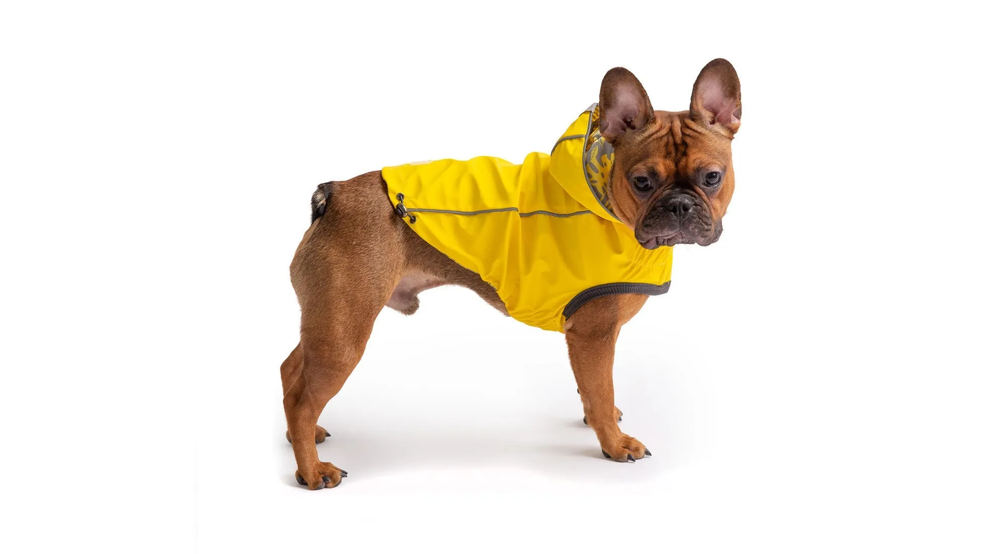 Reversible Elasto-Fit Raincoat | PetPals®