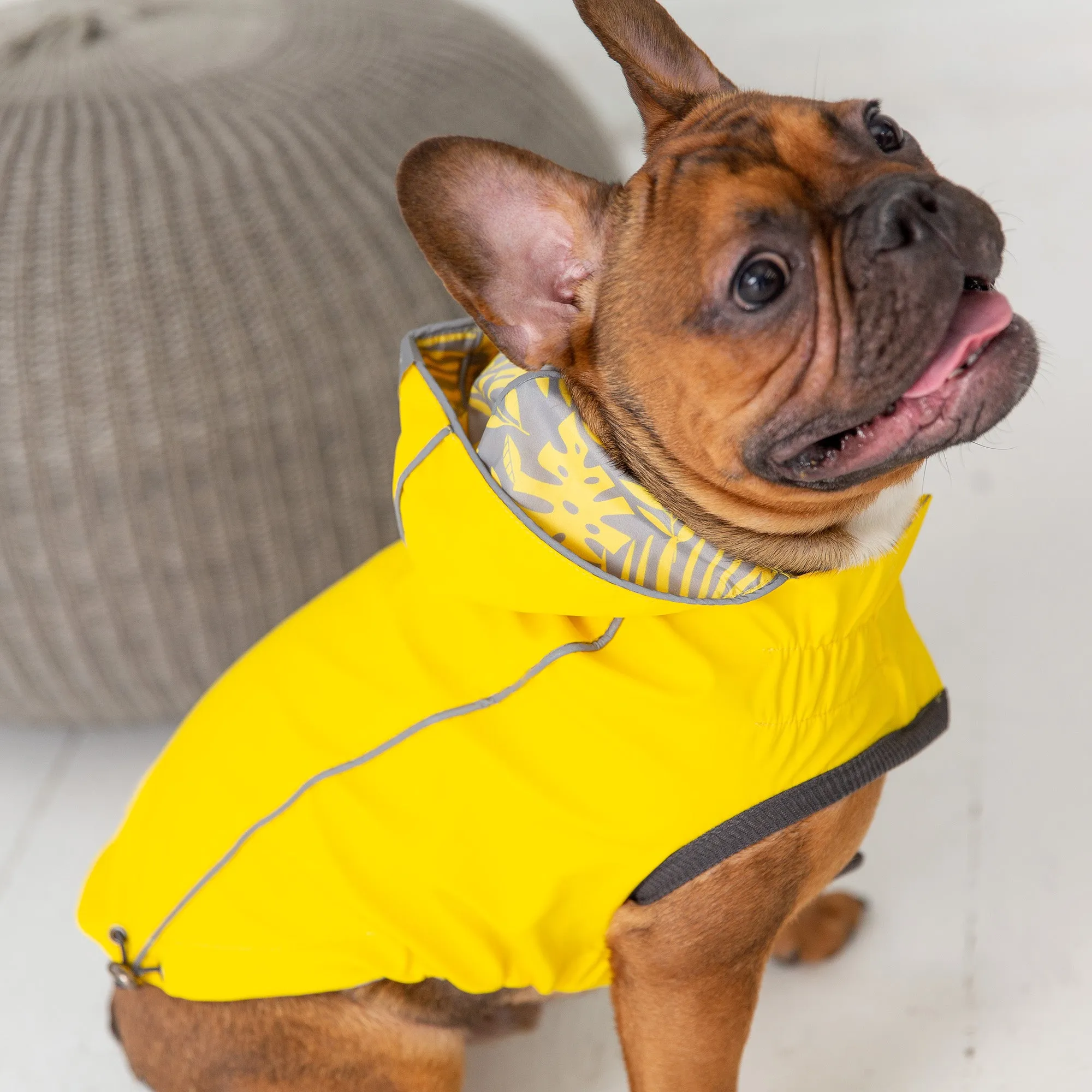 Reversible Elasto-Fit Raincoat | PetPals®