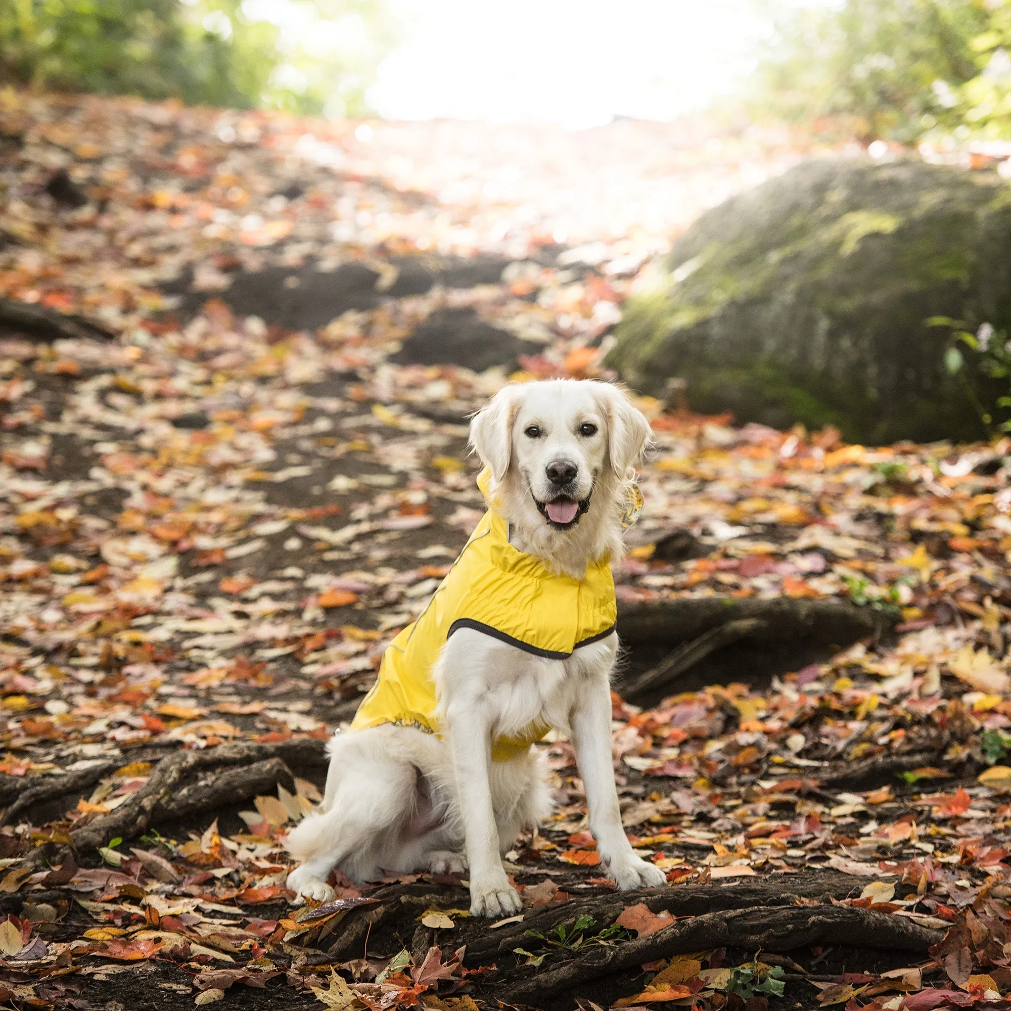 Reversible Elasto-Fit Raincoat | PetPals®