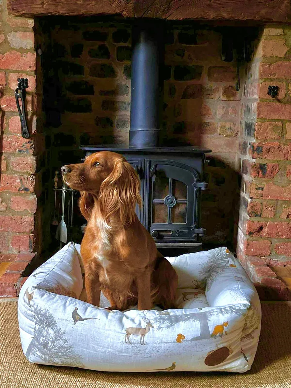 Snug & Cosy Woodland Rectangle Dog Bed