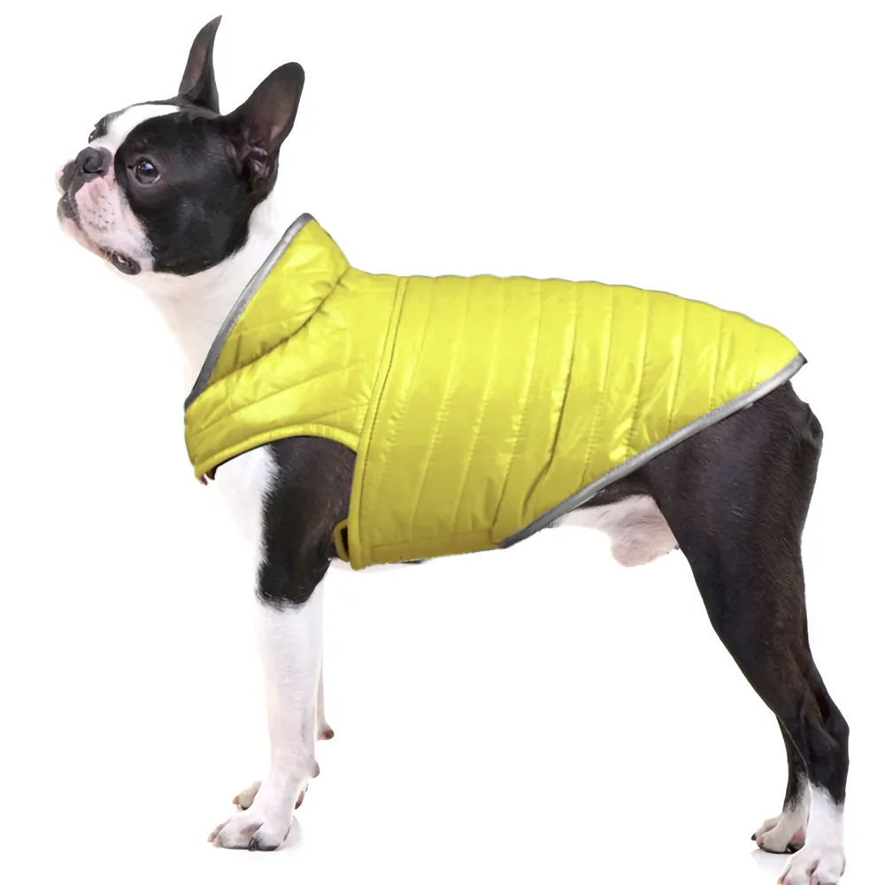 Talking Dog Club Double Trouble Reversible Jackets for Dogs (Blue/Yellow)