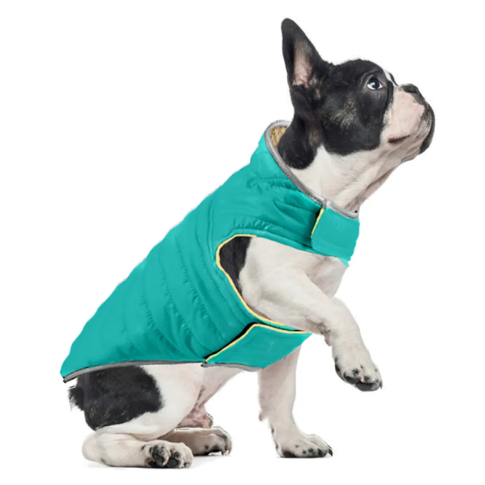 Talking Dog Club Double Trouble Reversible Jackets for Dogs (Blue/Yellow)