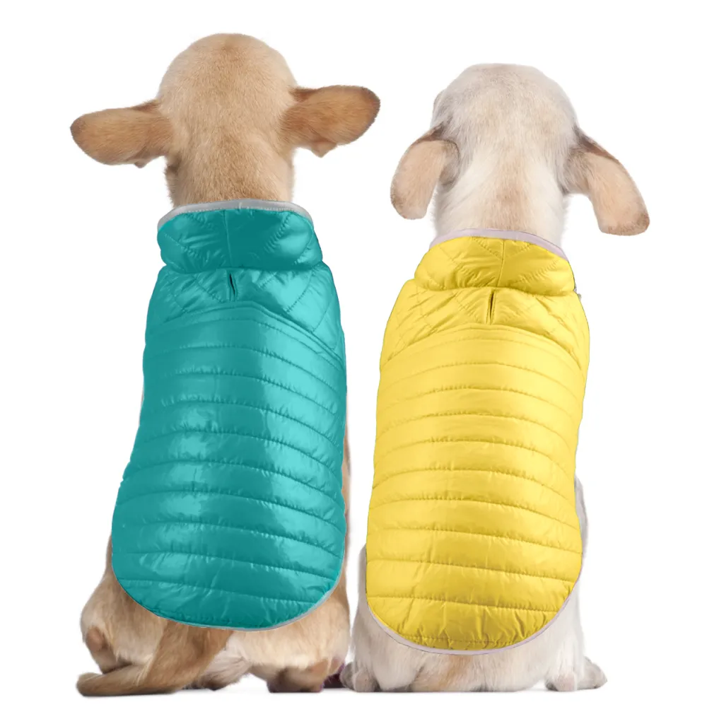 Talking Dog Club Double Trouble Reversible Jackets for Dogs (Blue/Yellow)